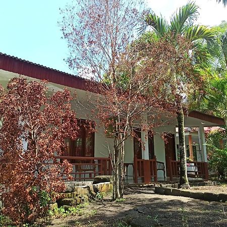 Tangkoko Jungle Homestay Rinondoran Extérieur photo
