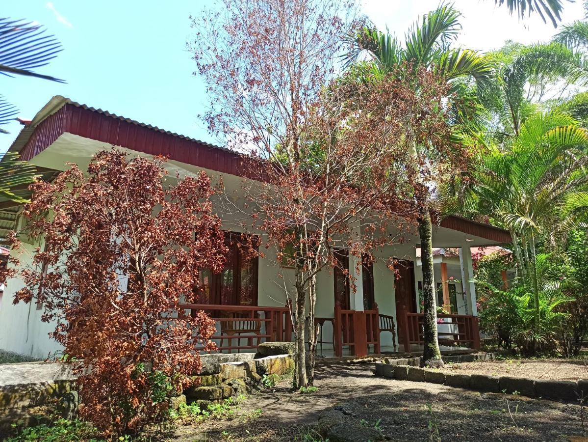 Tangkoko Jungle Homestay Rinondoran Extérieur photo
