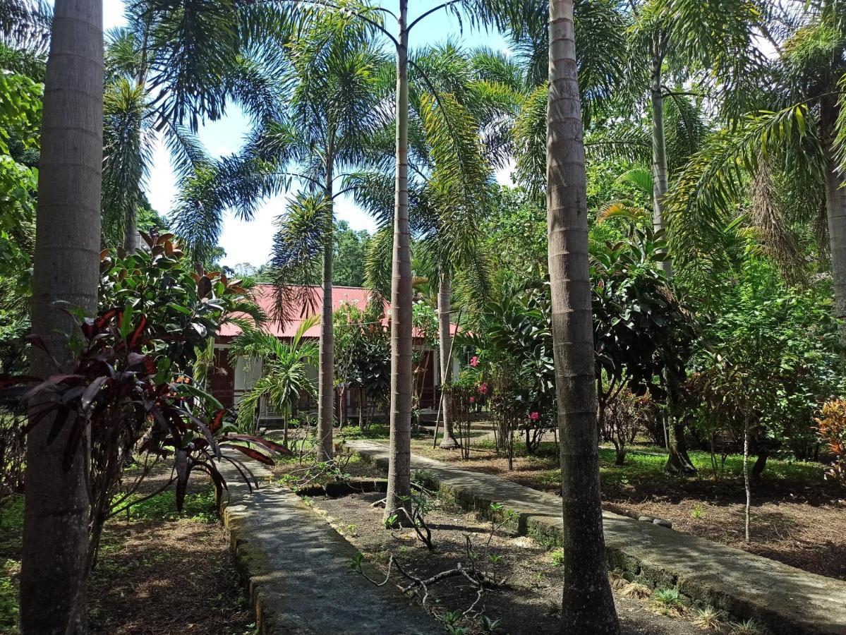 Tangkoko Jungle Homestay Rinondoran Extérieur photo